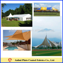 PVC tarpaulin for awnings canopies
